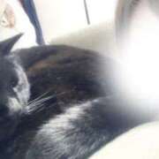 ヒメ日記 2026/04/18 09:40 投稿 みか 君とふわふわプリンセスin熊谷