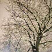 ヒメ日記 2026/03/30 23:33 投稿 香織890(kaori) 健康寿命を延ばす！恋愛コミュニティ otsto(オトスト)