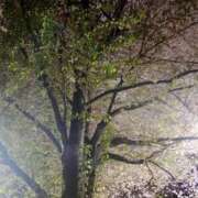 ヒメ日記 2026/04/10 23:23 投稿 香織890(kaori) 健康寿命を延ばす！恋愛コミュニティ otsto(オトスト)