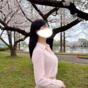 せいら お花見 奥鉄オクテツ東京店（デリヘル市場）