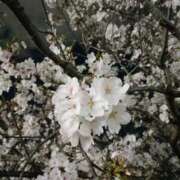 ヒメ日記 2026/04/05 20:36 投稿 なおみ 尼妻（あまづま）