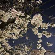 ヒメ日記 2026/04/05 12:13 投稿 ひかり ピンクコレクション大阪