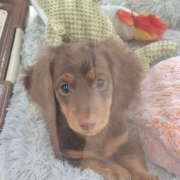 ヒメ日記 2026/04/10 21:45 投稿 そのこ 性腺熟女100％本店（デリヘル市場）