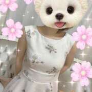 ヒメ日記 2026/03/23 17:39 投稿 みら 西船人妻花壇