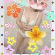 ヒメ日記 2026/03/29 23:56 投稿 みら 西船人妻花壇