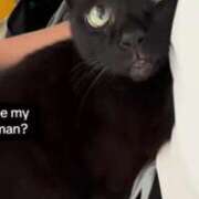 ヒメ日記 2026/03/07 01:00 投稿 まゆみ 多恋人倶楽部　宇部店