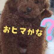 ヒメ日記 2026/06/25 21:48 投稿 まゆみ 多恋人倶楽部　宇部