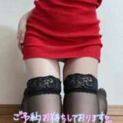 ヒメ日記 2026/03/07 19:21 投稿 おと オフィスアロマ