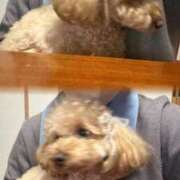 ヒメ日記 2026/03/07 00:08 投稿 みらい★黒髪清楚な敏感美少女★ Chloe五反田本店　S級素人清楚系デリヘル