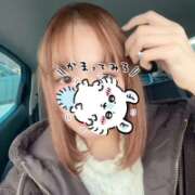 ヒメ日記 2026/03/14 02:46 投稿 ミカン ラブコレクション