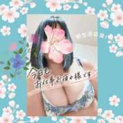 ヒメ日記 2026/05/11 21:00 投稿 青川　あい 京都出張メンズエステChou Chou（シュシュ)
