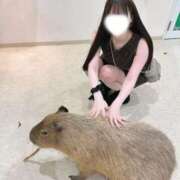 ヒメ日記 2026/03/17 06:17 投稿 ななみ 東京リップ 池袋店