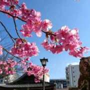 ヒメ日記 2026/03/27 21:31 投稿 えりな(〇〇店からAGEHAに移籍) ニューティアラ