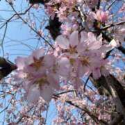 ヒメ日記 2026/04/02 20:09 投稿 色花　うるは 30・40・50代☆人妻熟女コレクション