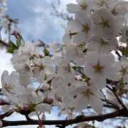 ヒメ日記 2026/04/06 10:55 投稿 色花　うるは 30・40・50代☆人妻熟女コレクション