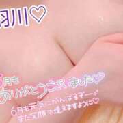 ヒメ日記 2026/06/01 03:12 投稿 羽川（はねかわ） 熟女の風俗最終章 名古屋店