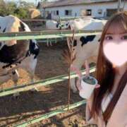ヒメ日記 2026/10/05 14:06 投稿 せり★Gカップ初心な従順美少女 S級素人清楚系デリヘル chloe