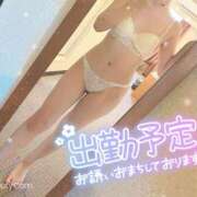 ヒメ日記 2026/03/16 14:29 投稿 ふわり ぷるるん小町日本橋店