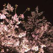 ヒメ日記 2026/03/16 17:30 投稿 りさ an_an（アンアン）