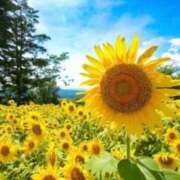 あやみ ご無沙汰しています🌻 熟女家 京橋店