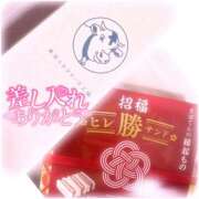 ヒメ日記 2026/03/14 20:03 投稿 浜崎 えみ La elf（ラ・エルフ）