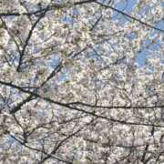 浜崎 えみ 見納め La elf（ラ・エルフ）