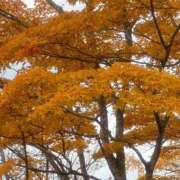 ヒメ日記 2026/04/12 13:17 投稿 すもも ハピネス東京