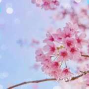 ヒメ日記 2026/03/11 16:40 投稿 まな 人妻・若妻デリヘル レディプレイス