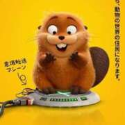 ヒメ日記 2026/03/13 11:30 投稿 まな 人妻・若妻デリヘル レディプレイス