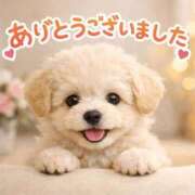 まな ありがちょ 人妻・若妻デリヘル レディプレイス