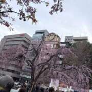 ヒメ日記 2026/03/18 22:05 投稿 まな 人妻・若妻デリヘル レディプレイス