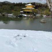 ヒメ日記 2026/03/25 19:52 投稿 まな 人妻・若妻デリヘル レディプレイス