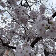 ヒメ日記 2026/03/31 11:09 投稿 まな 人妻・若妻デリヘル レディプレイス