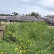 ヒメ日記 2026/04/14 19:51 投稿 まな 人妻・若妻デリヘル レディプレイス