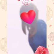 ヒメ日記 2026/03/08 00:40 投稿 絵色つかさ(えいろつかさ) 五十路マダムエクスプレス厚木店(カサブランカグループ)