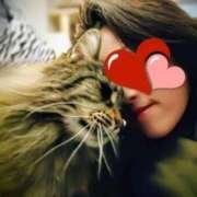 ヒメ日記 2026/04/05 08:51 投稿 高塚(こうつか) 熟女出逢い会 『百合の園』 五反田店