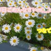 ヒメ日記 2026/04/05 08:10 投稿 つなで ちゃんこ大阪