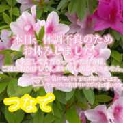 ヒメ日記 2026/04/20 13:45 投稿 つなで ちゃんこ大阪