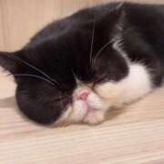 ヒメ日記 2026/03/07 02:18 投稿 ゆめの わちゃわちゃ密着リアルフルーちゅ西船橋