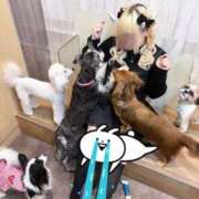 ヒメ日記 2026/04/17 15:18 投稿 ゆめの わちゃわちゃ密着リアルフルーちゅ西船橋