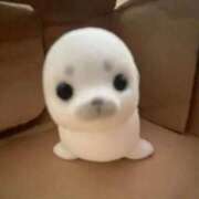 ゆめの こんばんは♥ わちゃわちゃ密着リアルフルーちゅ西船橋