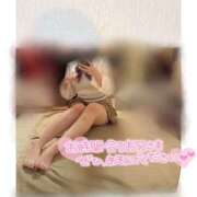 ヒメ日記 2026/03/30 08:48 投稿 るな 折り紙 ORIGAMI