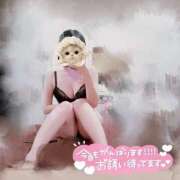 ヒメ日記 2026/04/02 08:33 投稿 るな 折り紙 ORIGAMI