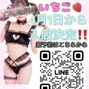 ヒメ日記 2026/03/29 13:08 投稿 いちご 金瓶梅(きんぺいぱい)(雄琴)