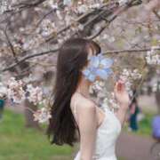 ヒメ日記 2026/04/02 15:54 投稿 雛子-hinako- 品川エッセンス