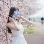 ヒメ日記 2026/04/03 07:30 投稿 雛子-hinako- 品川エッセンス