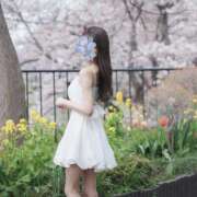 ヒメ日記 2026/04/05 16:28 投稿 雛子-hinako- 品川エッセンス