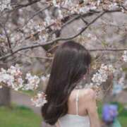 ヒメ日記 2026/04/09 07:30 投稿 雛子-hinako- 品川エッセンス