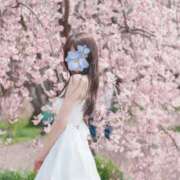 ヒメ日記 2026/04/09 11:30 投稿 雛子-hinako- 品川エッセンス