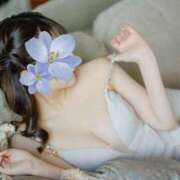 ヒメ日記 2026/04/13 11:30 投稿 雛子-hinako- 品川エッセンス